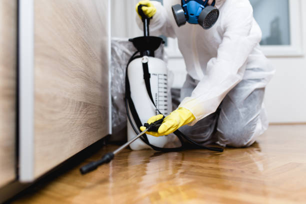 Best Residential Pest Control  in Mshall, AR