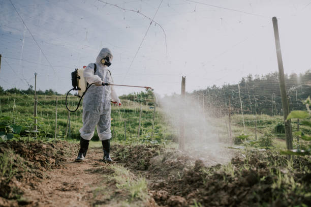 Best Best Pest Control Companies  in Mshall, AR