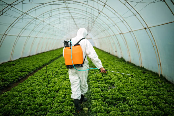 Best Pest Control Treatment  in Mshall, AR