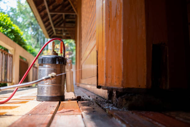Best Local Pest Control Services  in Mshall, AR
