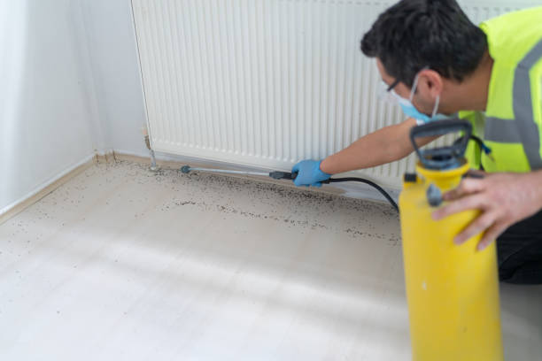 Best Exterminator Services  in Mshall, AR