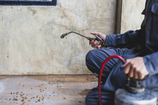 Best Flea Control Services  in Mshall, AR